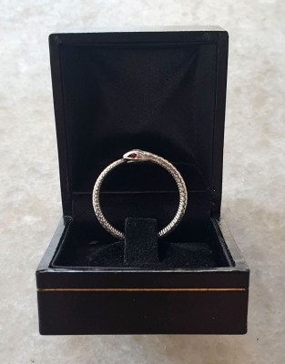 ouroboros-asimenios-patina-photo019